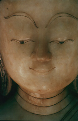 Meditation Retreat - with Bodhi Sumito